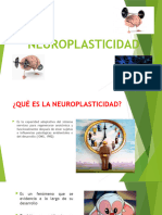 NEUROPLASTICIDAD