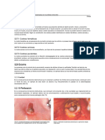 Lesiones Paraprotésicas