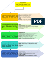 Esquema Gráfico Del Proceso Administrativo