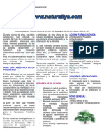 Saw Palmetto PDF