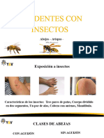 Capacitacion Accidentes Con Insectos