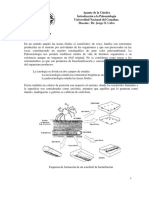 Icnofosiles