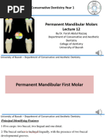 9 Mandibular Molar