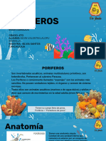 Biologia Poriferos