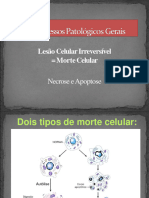 Morte Celularmypdf