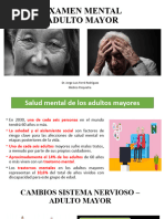 Examen Mental Adulto Mayor