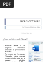 02 Microsoft Word