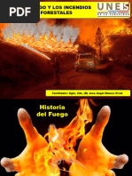 El Fuego y Los Incendios Forestales