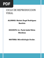 Ciclo de Reproduccion Viral