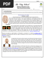 2.1.1 Article 'One Brain or Two'