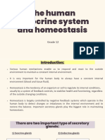 The Human Endocrine System and Homeostasis Grade 12