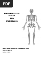 Skeletal System