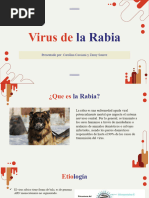 Virus de La Rabia-1