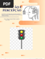 Aula Sensação e Percepção