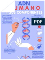 ¿Qué Es El ADN