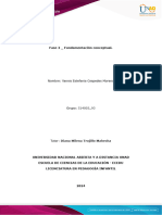 Fase 2 - Fundamentación Conceptual