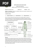 Guia Nervioso Oseo Muscular 2024