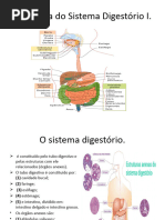 Aula 12 - Anatomia Do Sistema Digestório I - Cópia