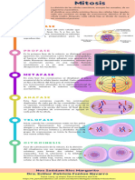 Mitosis y Meiosis