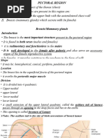 Breast - Mammary Gland