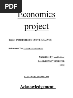 Economics Project 3rd Semester