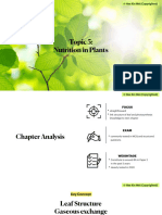 (CS BIO) Chapter 5 - Nutrition in Plants