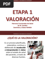 Valoracion Patrones Funcionales y Dominios