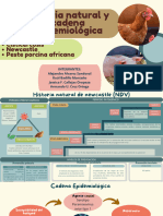 Historia Natural y Cadena Epidemiológica
