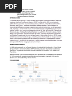 PDF Documento