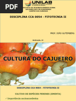 Aula - Cajueiro