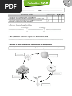 Evaluations CE2 Sciences