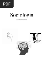 Apuntes Sociologia