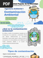 Contaminación Ambiental