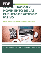 Cuentas Activo y Pasivo