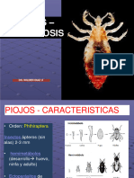 1-Piojos - Pediculosis