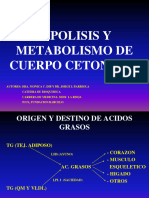 Clase 2 Lipolisis y Metabolismo de Cuerpos Cetonicos