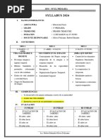 Silabus de Nivel Primaria 2024