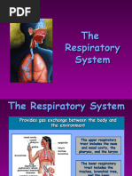 Respiratory System 2