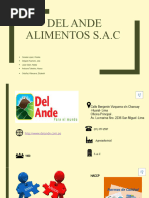 Del Ande Alimentos S A C Expo Final