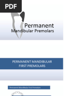 Permanent Mandibular Premolars