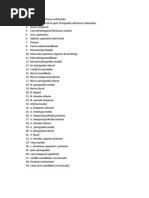 Rotulacion Infratemporal