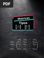 Tipos de Matrices