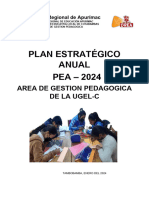 Proyecto de PLAN ANUAL AGP Cotabambas 2024