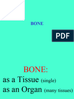 Bone