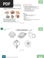 Guia Artes Conchitas y Esculturas