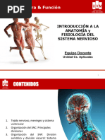 Cátedra 2 Anatomía y Fisiología Del Sistema Nervioso