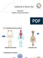 3.2 Clasificación Axial