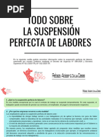 Todo Sobre La Suspensión Perfecta de Labores 1