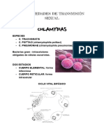 Chlamydias: Enfermedades de Transmisión Sexual