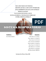 Sistema Respiratorio